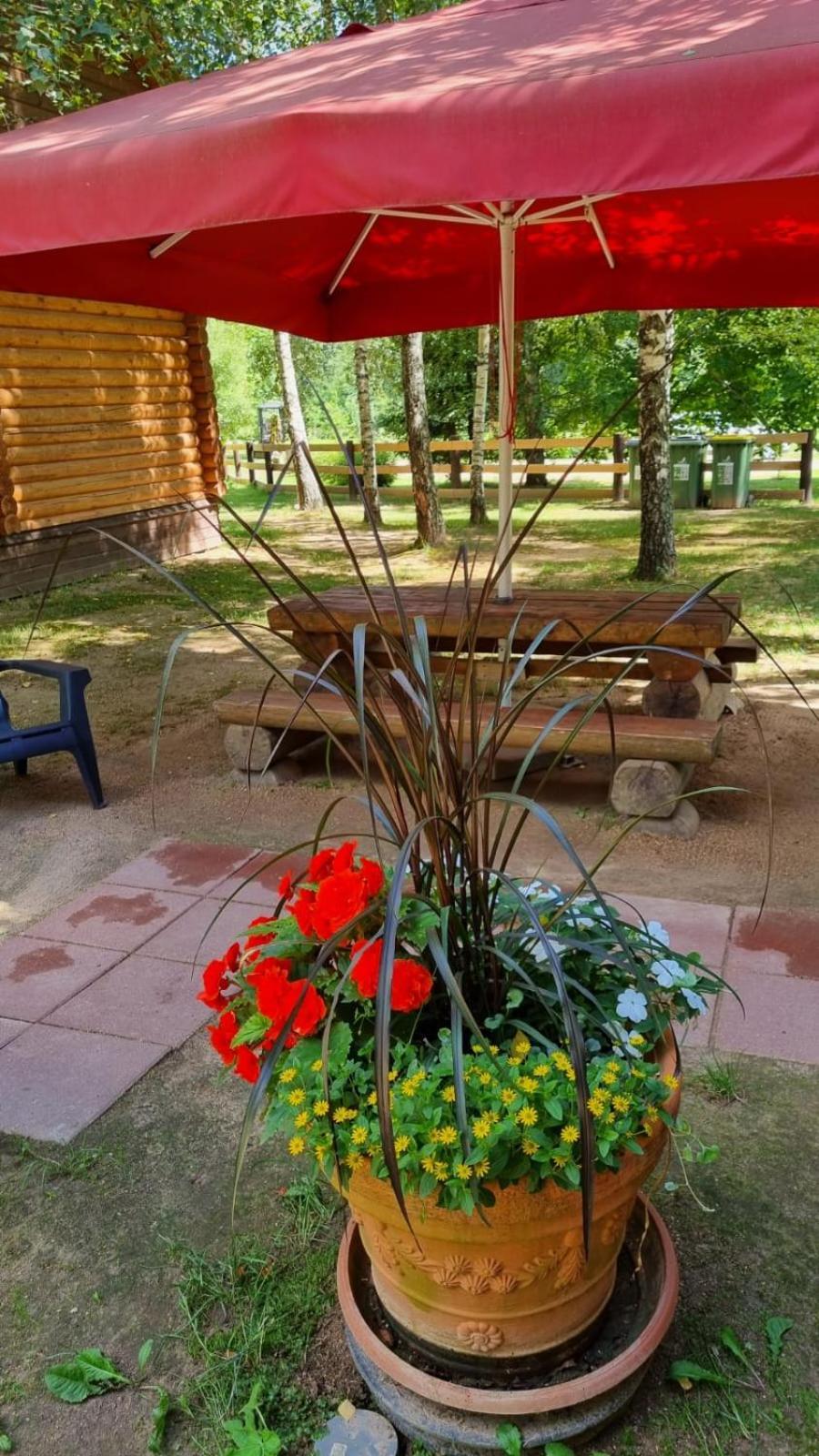 Camping Oskalns แซซิส ภายนอก รูปภาพ